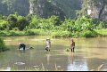 Vietnam - Cambodge - 0429